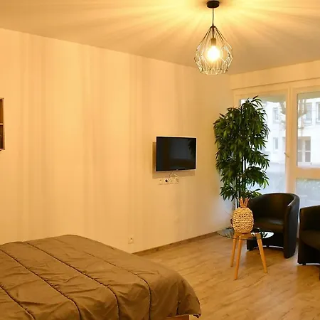 Tropical Et Jacuzzi Balneotherapie Apartment